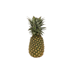 Pineapple (Ananas) - (800 - 1200) Gram