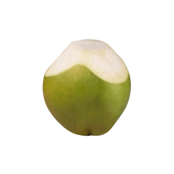 Tender Coconut (1 piece)