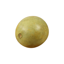 Wood Apple (Bael Pathar) - (350 - 450) Gram